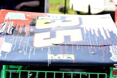 DSC_2919