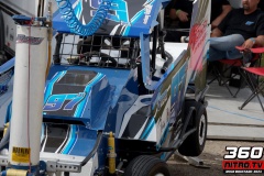 bsl-0031