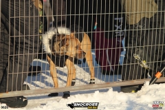 snocross-st-henri-2019-657