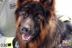 mountaincross-17-03-2019-423