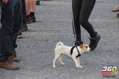 dragfest-show-boucane-guiness-84