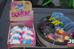 journée-de-la-famille-chaudiere-2019-55