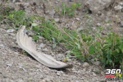 finale-fin-de-saison-st-fer-2019-740