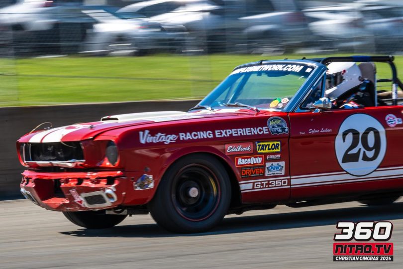 samedi-2408101454531022CG